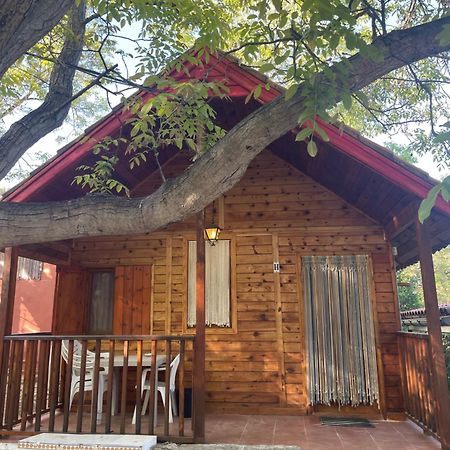 Cabanas De Нерпіо Екстер'єр фото